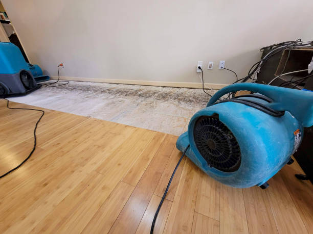 Professional Structural Drying technician working in Armour, SD
